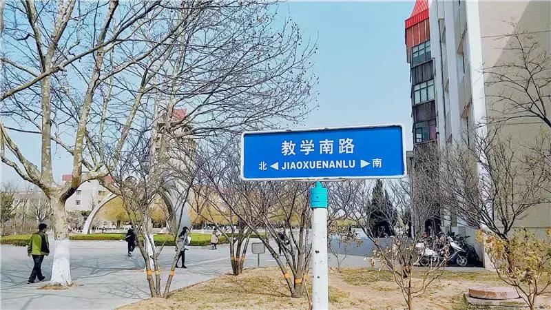 陪你走过沿途的风景,陪你走过每段路