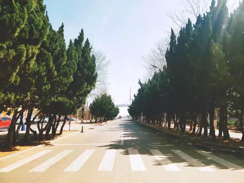 陪你走过沿途的风景,陪你走过每段路