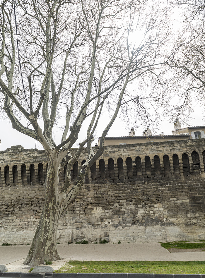 清明时节游法兰西赏历史文化之四:阿维尼翁