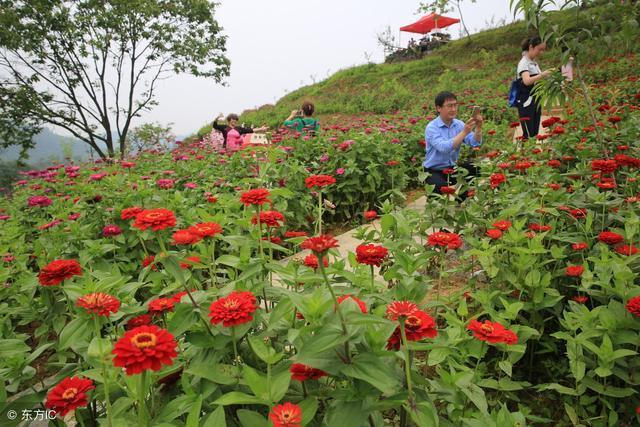 无本投资小本创业好项目新点子,小本赚大钱适合穷人创业的小生意