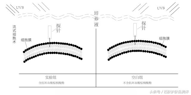 vc精华液对皮肤有害吗,vc精华会损坏皮肤屏障吗