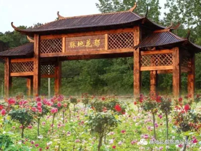 五一期间黄陂人游黄陂景点免费吗,五一黄陂景区免费有哪些