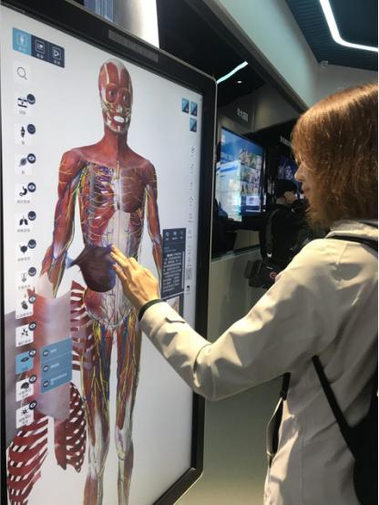 贵州数博会攻略,贵州数博会花卉