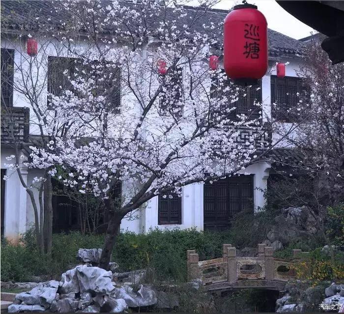 江浙寻花事,东南dx3自驾游