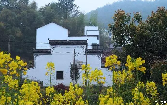 江浙寻花事,东南dx3自驾游