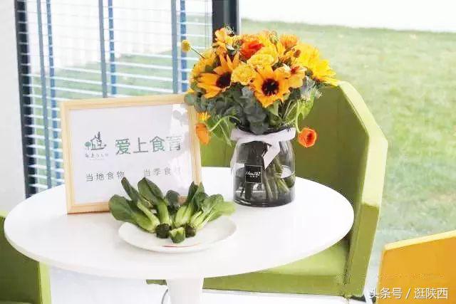 纺织城的公办幼儿园,纺织城最好的幼儿园