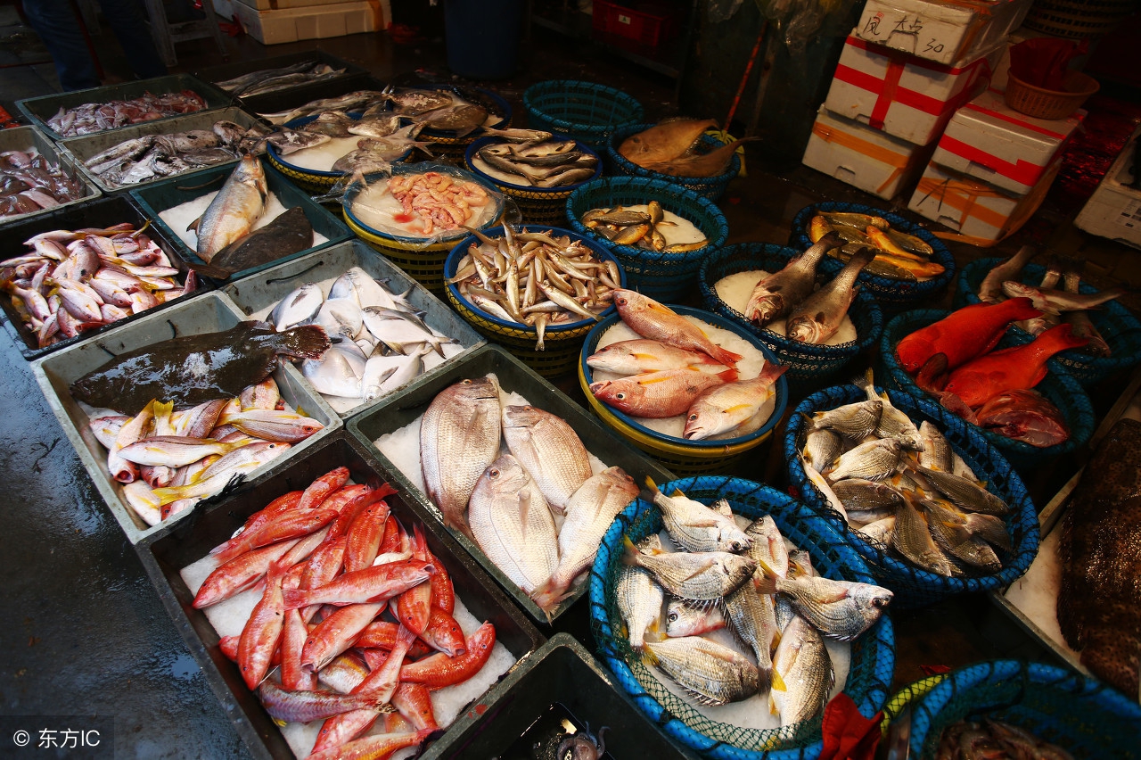 东山帐篷生态酒店左耳厦门民宿猫街第一爆改夫妻档他们改过的房子