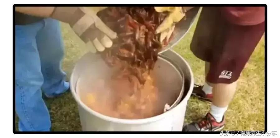 新奥尔良也从来不存在烤鸡翅和烤鸡腿堡那只有吃不完的小龙虾