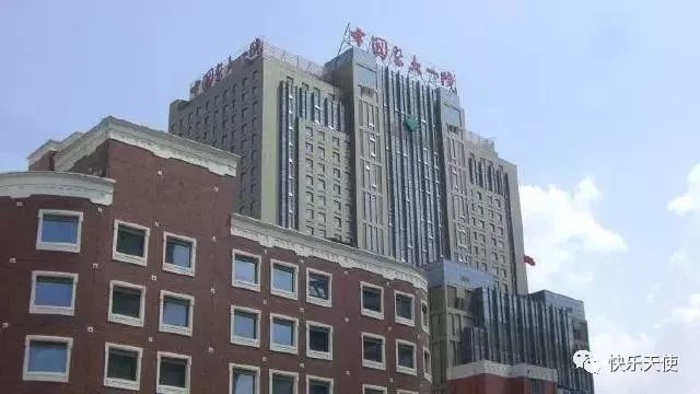 铲屎官们注意了,铲屎官们会遇到的问题