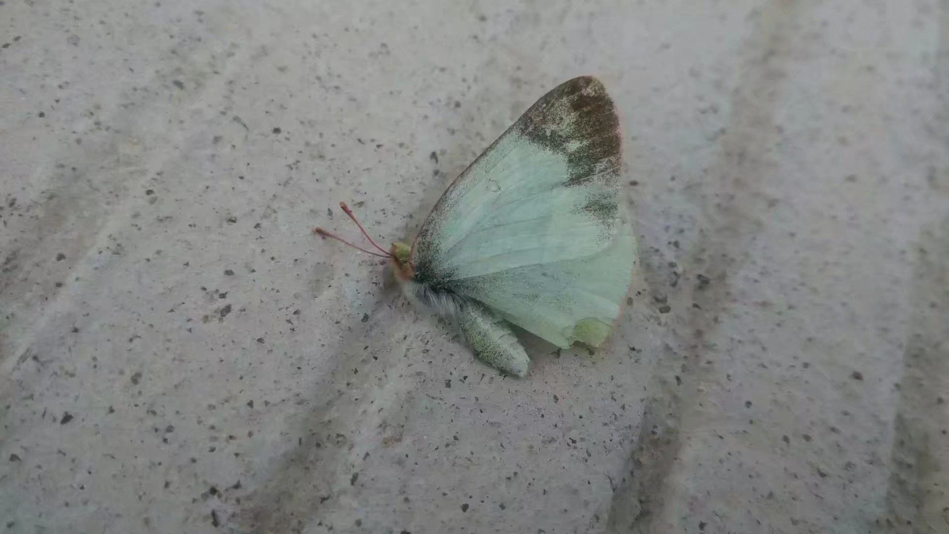 骑车去漠河旅游攻略,从漠河到呼伦贝尔自驾游攻略