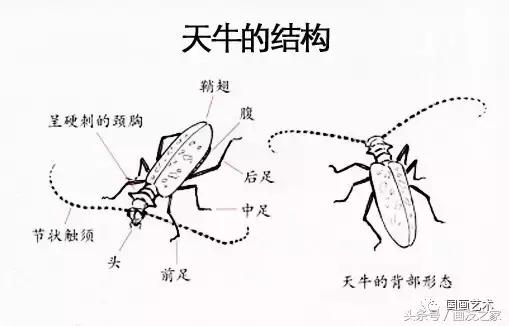 写意草虫名家,写意草虫和什么题材结合好