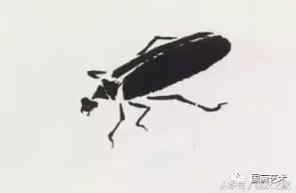 写意草虫名家,写意草虫和什么题材结合好