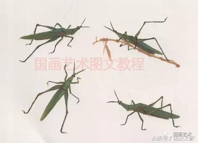 写意草虫名家,写意草虫和什么题材结合好