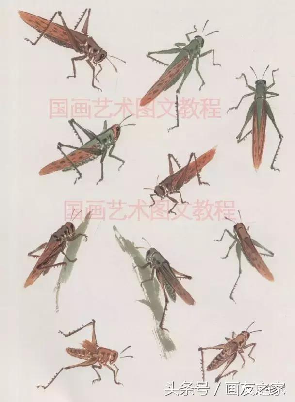 写意草虫名家,写意草虫和什么题材结合好