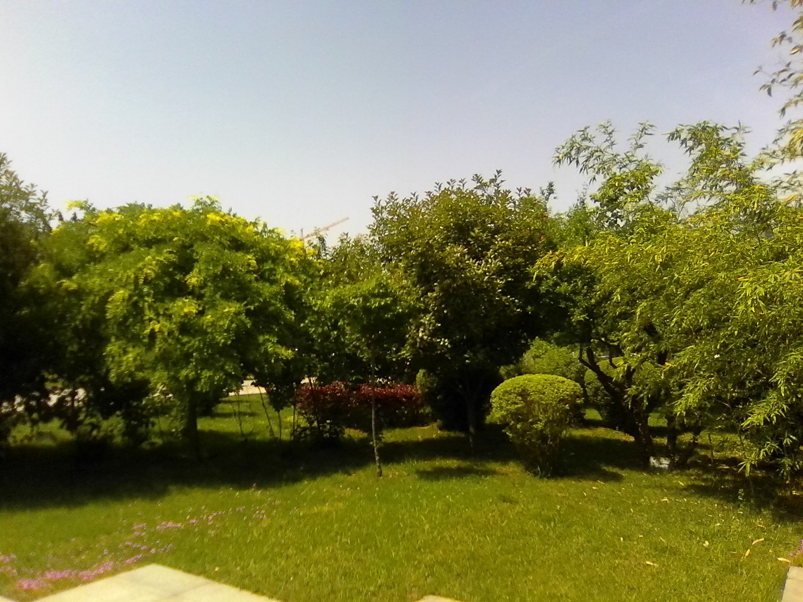 小米米兔无人机能飞多远,小米无人机米兔速度测试