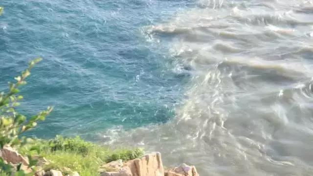 关于大连的冷知识,中国大连冷知识