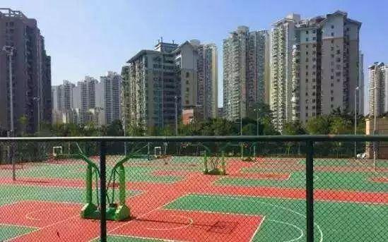 最真实的荔枝花海,广州荔枝花海