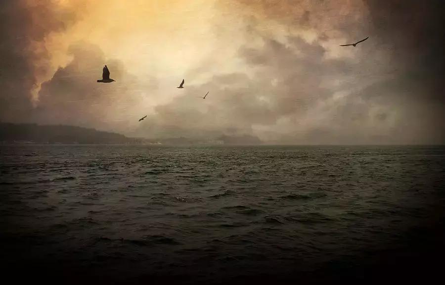 3Q大战之后多年,我遇见一位腾讯老兵