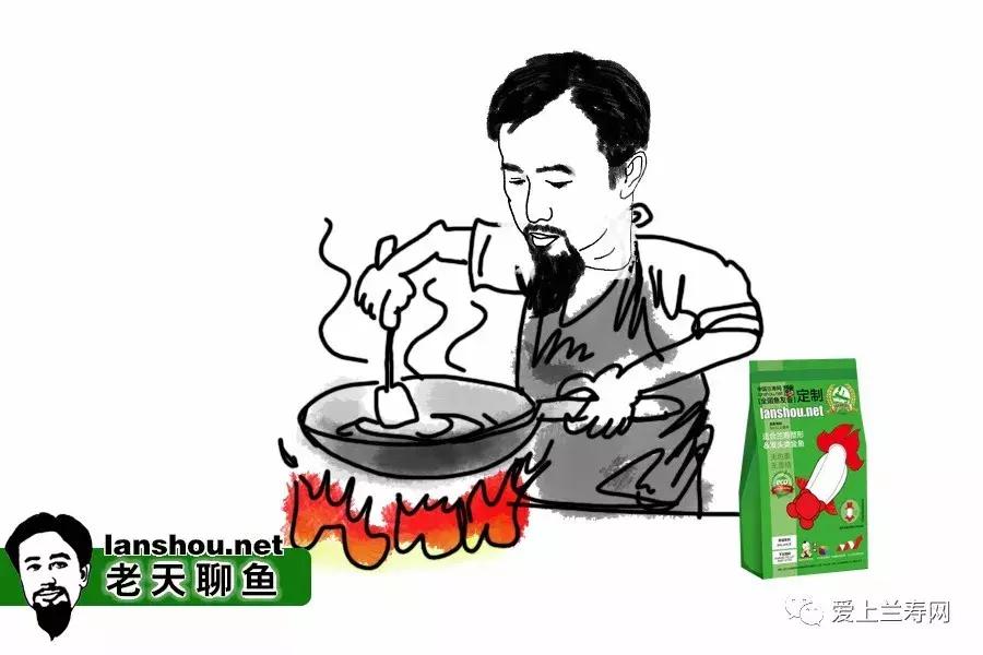 金鱼的鱼饵怎么做,金鱼最喜欢吃的鱼饵怎么做