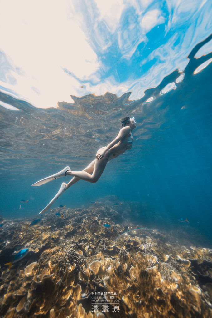 帕劳水下摄影最佳时间,帕劳海上旅游攻略