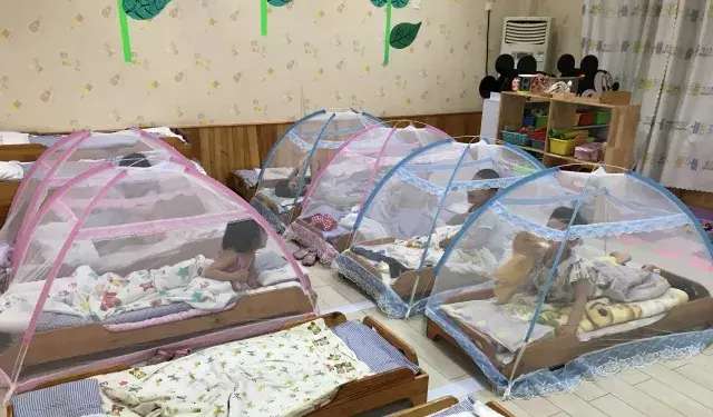 东营比较好的幼儿园,东营幼儿园哪个好