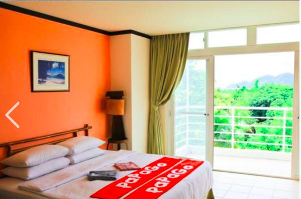 帕劳为什么这么值得去,帕劳必须要去的地方