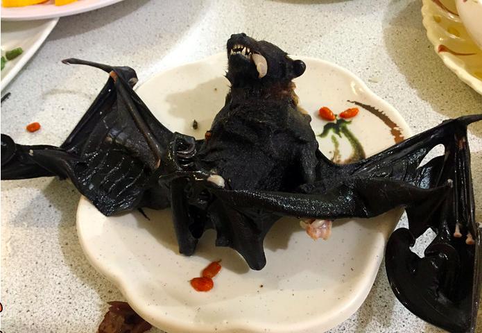 帕劳为什么这么值得去,帕劳必须要去的地方