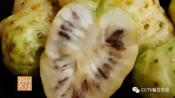 为什么热带的水果又甜又好吃,又酸又苦的热带水果