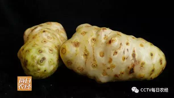 为什么热带的水果又甜又好吃,又酸又苦的热带水果