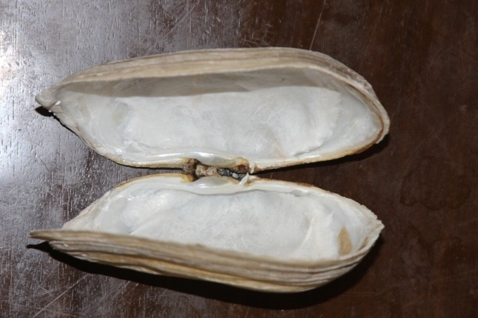 三亚亚龙湾蜜月住宿推荐,蜜月去三亚是跟团还是自由行