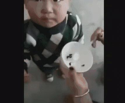 婴儿吃蝌蚪,妈妈喂孩子吃活蝌蚪
