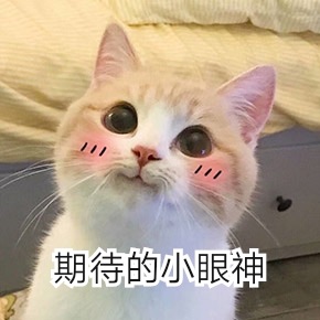 浪费钱的小红书爆款,劝你别买了!