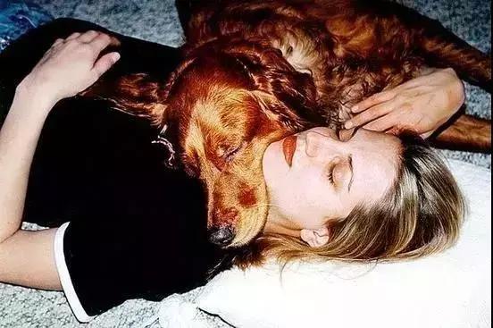 孤独的男男女女,和他们的狗