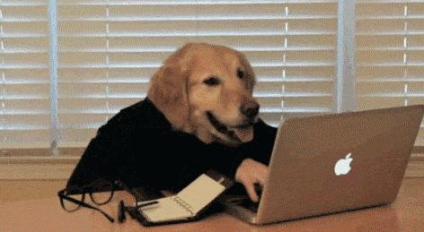 孤独的男男女女,和他们的狗