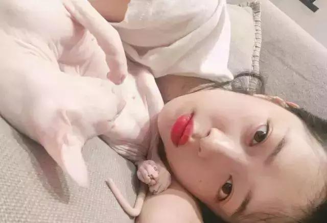 日本妹子爱用的遮瑕,日本妹子油皮爱用的粉底