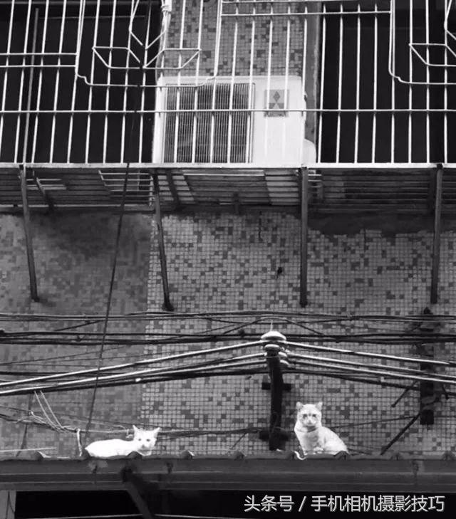 手机拍照放大了画质惨不忍睹？试试这个方法，没准还有救