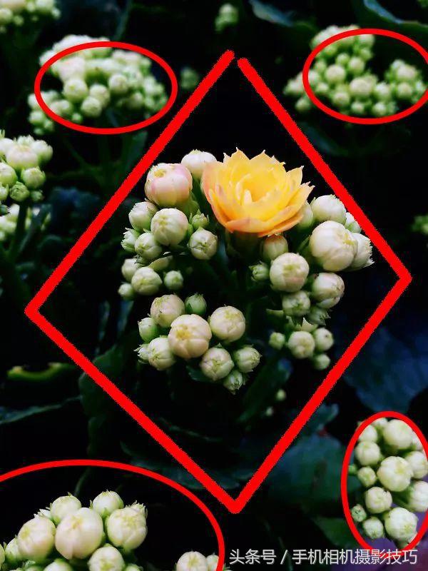 手机拍照放大了画质惨不忍睹？试试这个方法，没准还有救