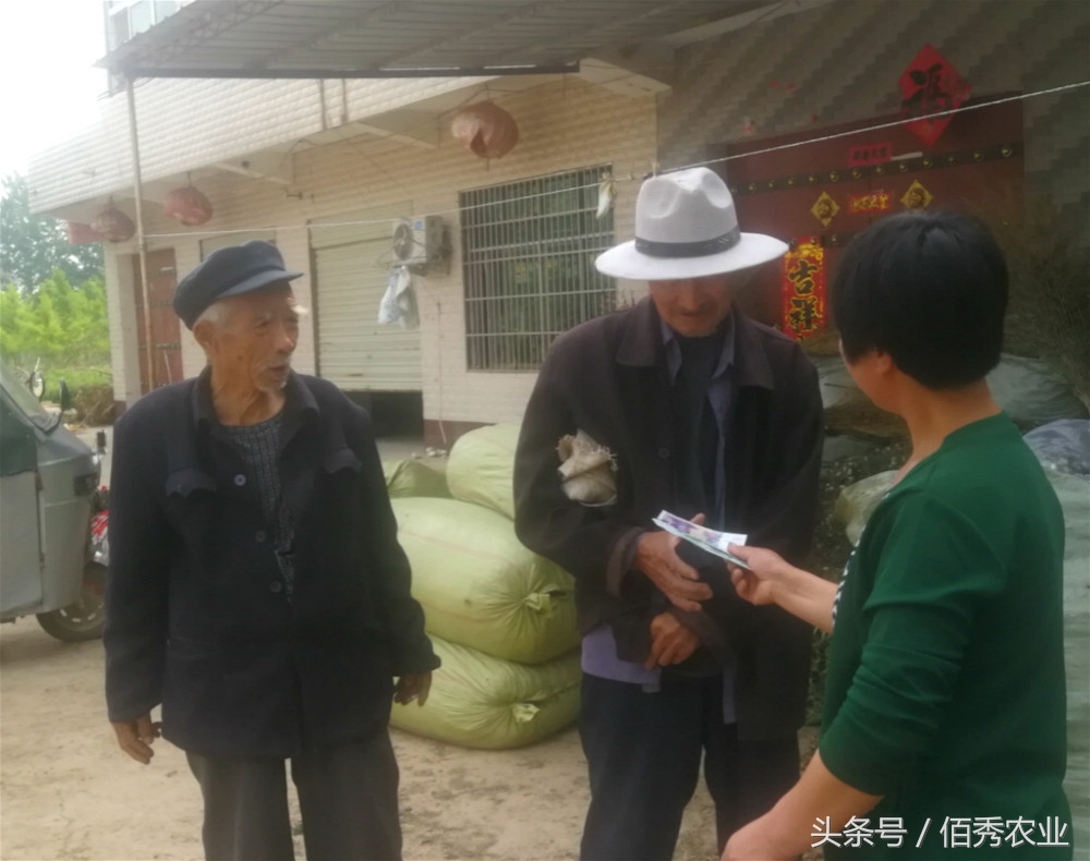 农村不起眼的杂草却是救命稻草,农村随处可见的杂草