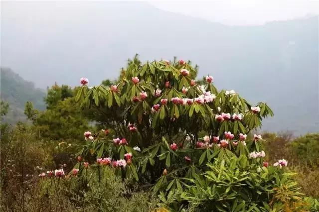 五一小长假尽情撒欢,2021五一川内游推荐