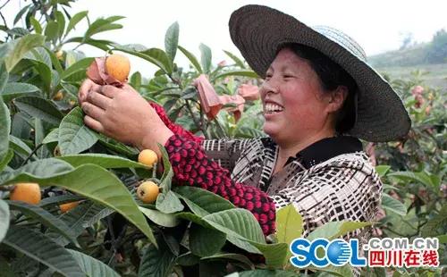 五一小长假尽情撒欢,2021五一川内游推荐