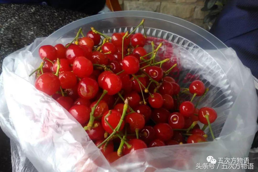 车厘子几月份成熟,车厘子的营养价值与作用