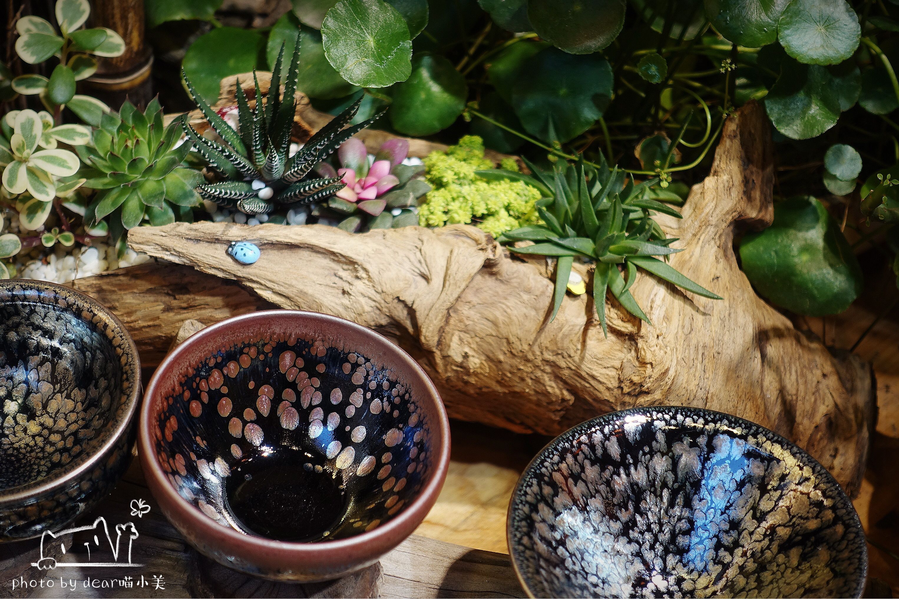 在曾厝垵第一家茶馆，我喝到了最好喝的豆浆茶