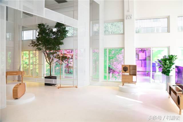 上海最新网红打卡地昌平路,上海必逛网红街武康路打卡攻略