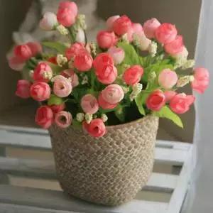 花篮里的花可以直接放土养,怎么在花园里种花