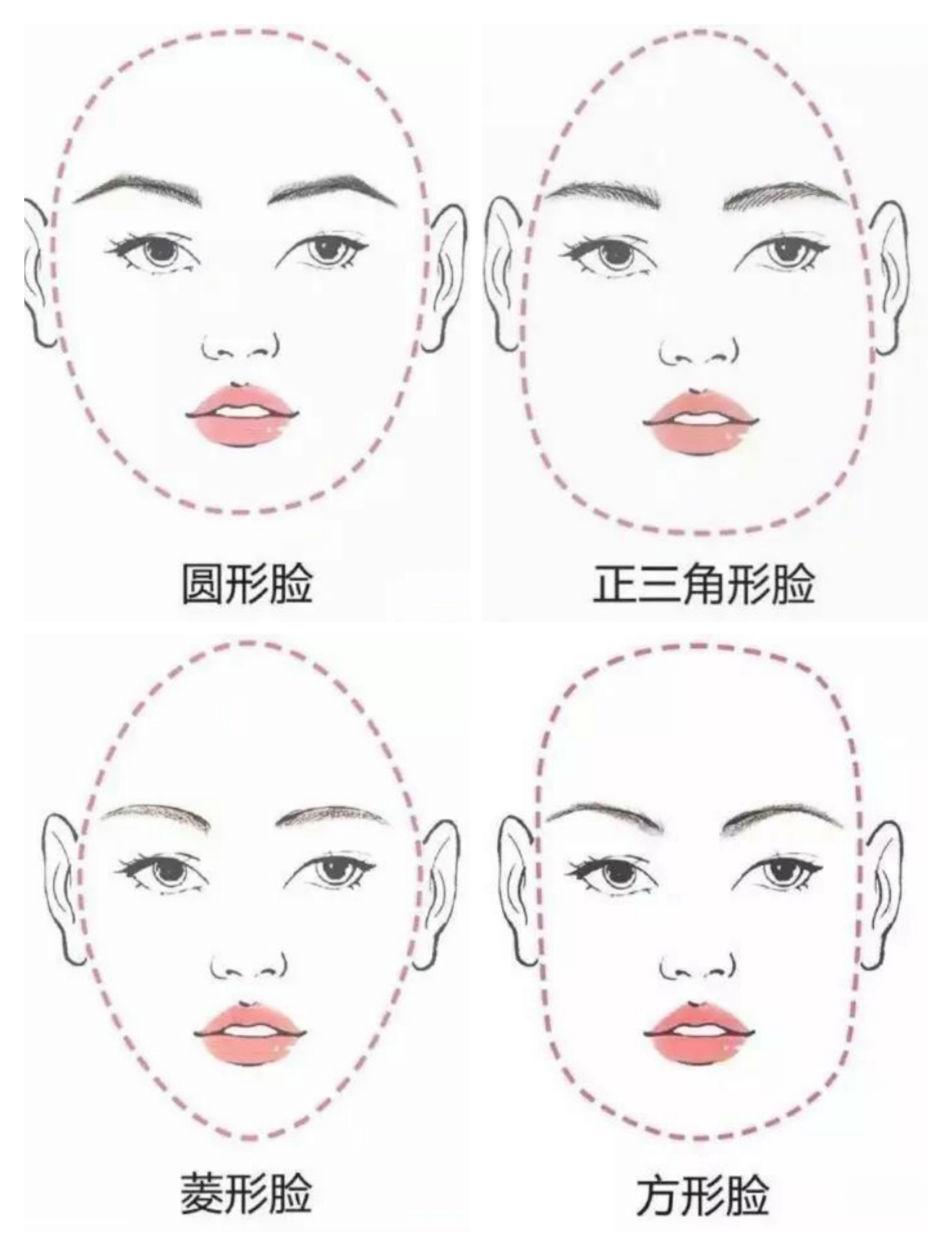 李晨文章,李晨眉毛怎么画好看