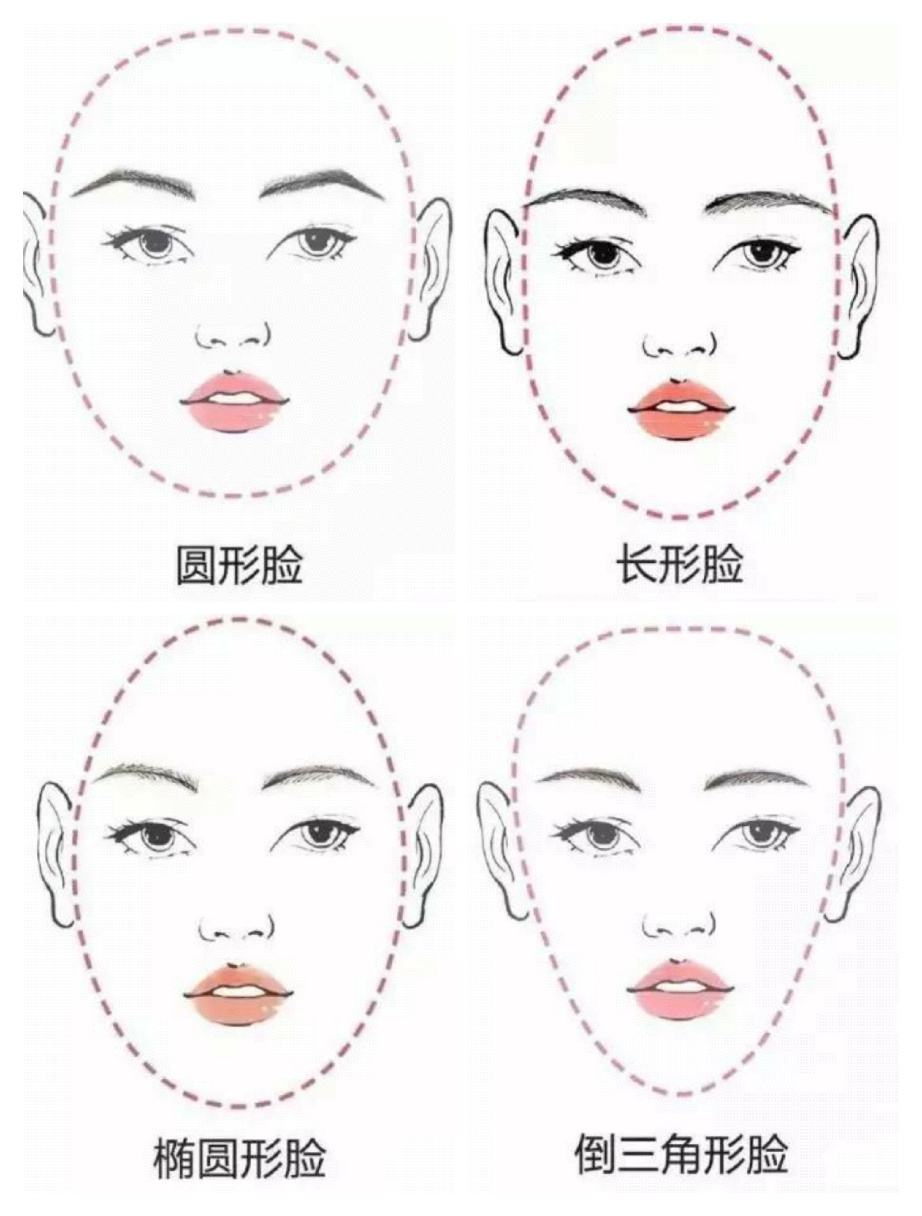 李晨文章,李晨眉毛怎么画好看