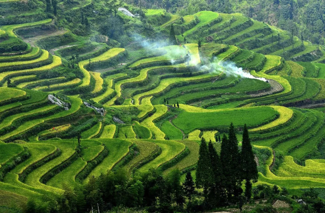 丽水青田五日游攻略,青田5.19旅游日