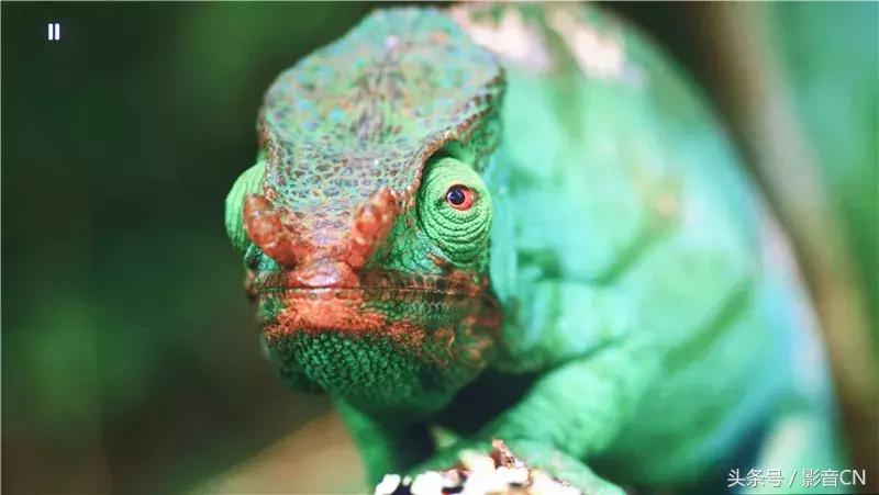 vivitek丽讯d855st投影仪,丽讯投影仪hk2288设置