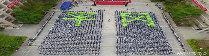 龙高、科高、华附、三高……深圳龙岗区高中怎么选？参考数据呈上