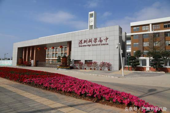 龙高、科高、华附、三高……深圳龙岗区高中怎么选？参考数据呈上